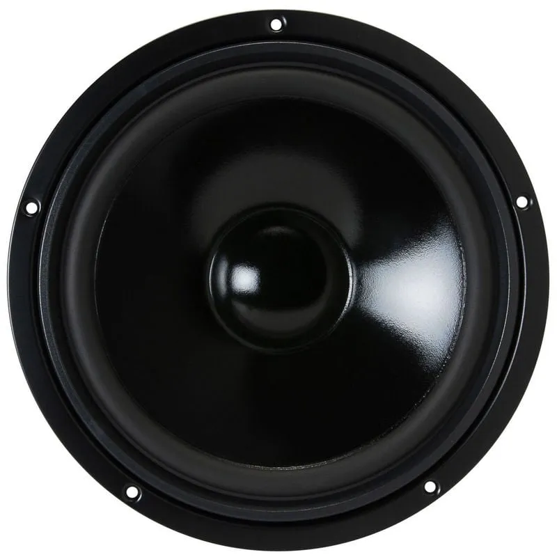 Visaton W 250 S altoparlante Nero 100 W
