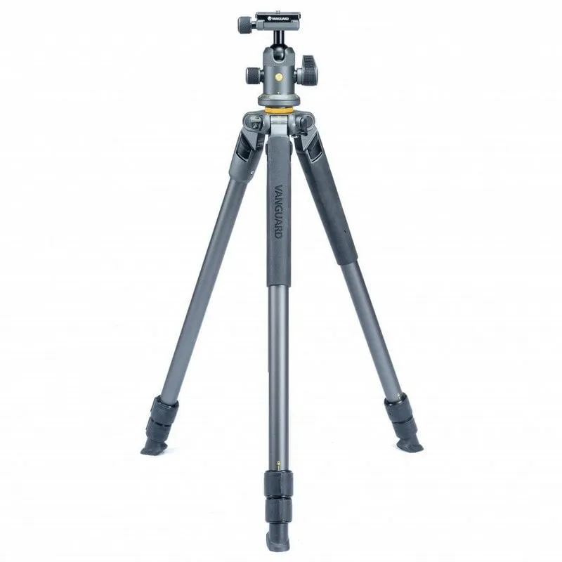 Treppiede Vanguard Alta Pro 2 263AB 100 + testa a sfera