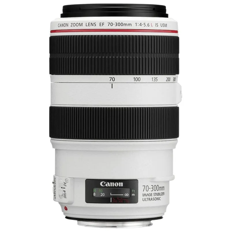 Canon EF 70-300mm f/4-5.6L IS USM SLR Teleobiettivo Nero, Bianco