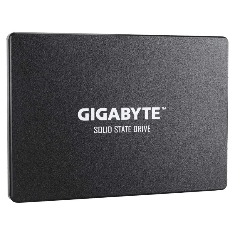 Gigabyte Unità a stato solido SSD da 256 GB SATA3