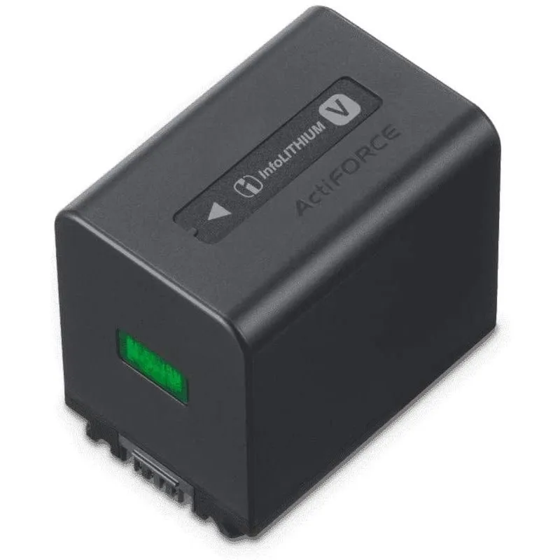 Sony NP-FV70A Ioni di Litio 1900 mAh