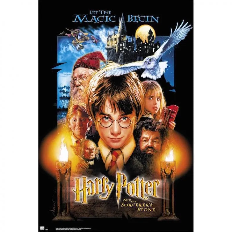 Maxi poster Erik Harry Potter 1 91,5x61 cm