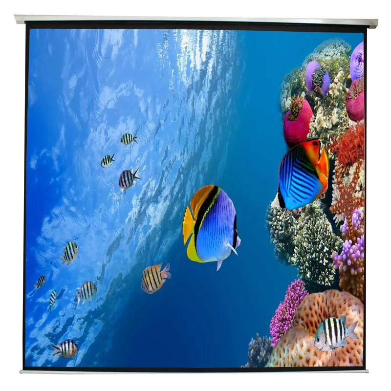 Schermo per proiezione elettrico approssimativo 240x240 135"