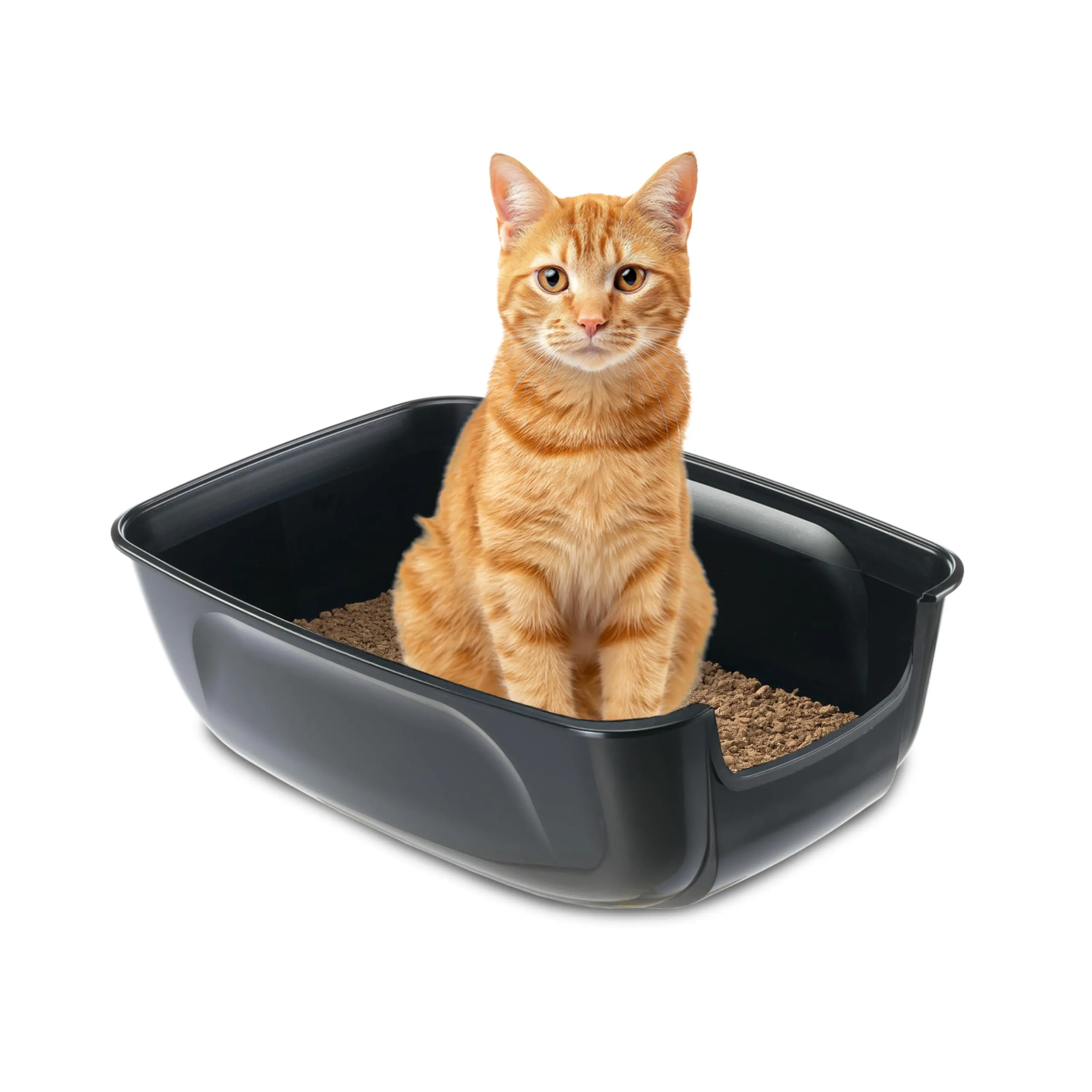 Ferplast Lettiera Gatto, Toilette per Gatti Grandi, in Plastica con Bordi Alti, Facile e Veloce da Pulire L 67 × W 49 × H 24 cm, Nero