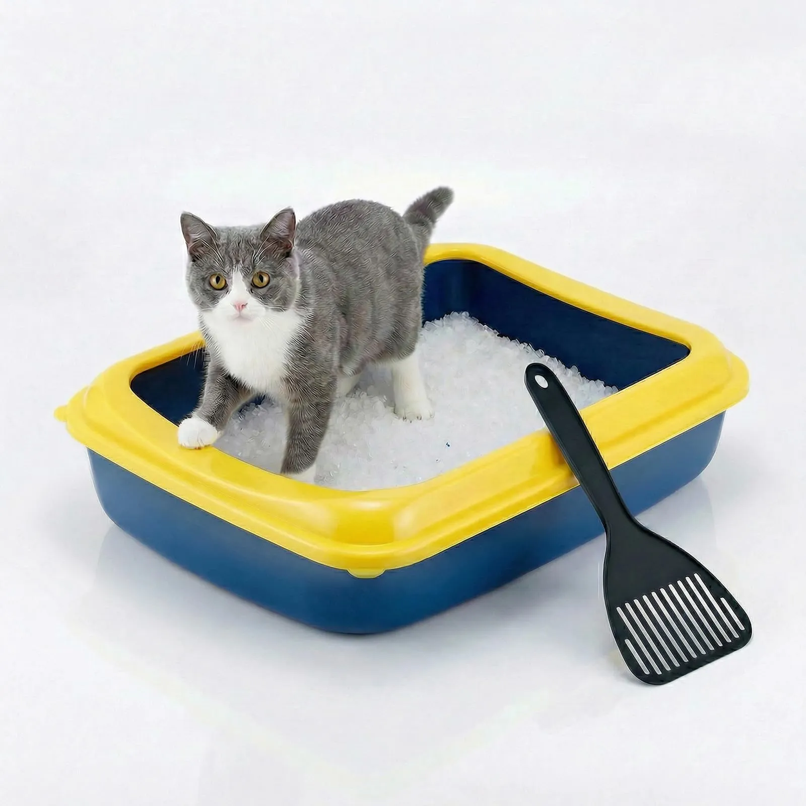 Animal House Lettiera per Gatti Con Bordo, Vaschetta M