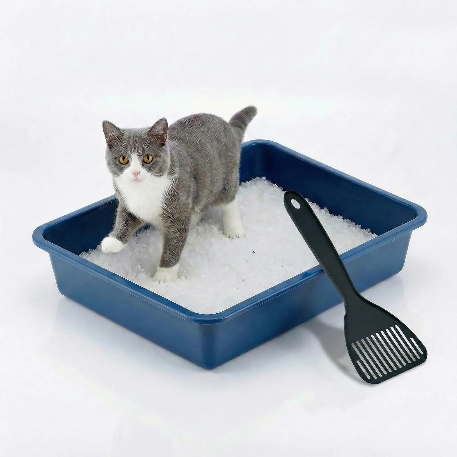 Animal House Lettiera per Gatti Senza Bordo, Vaschetta L