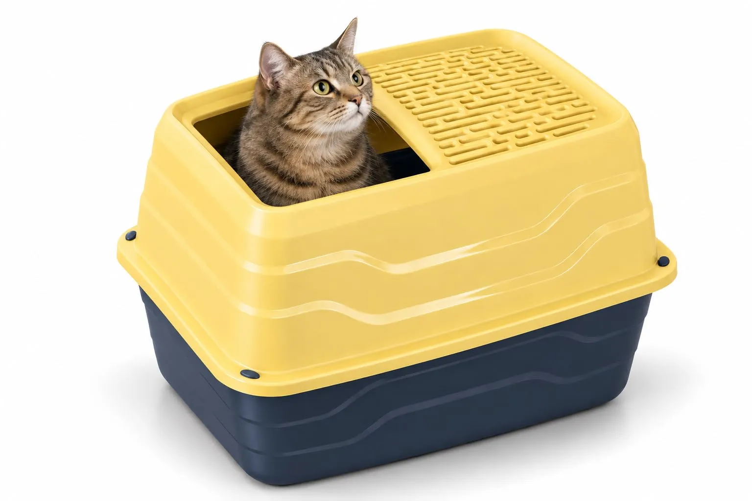 Animal House Lettiera per Gatti Salto Toilette, Vaschetta L