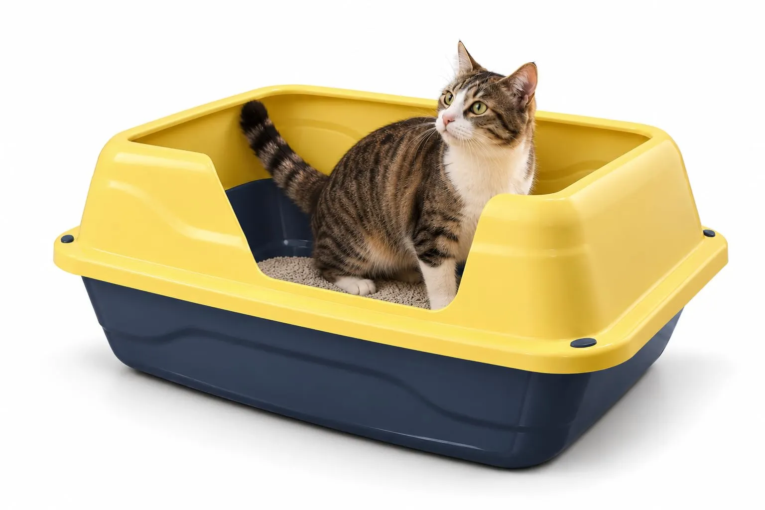 Animal House Lettiera per Gatti Sider con Bordo Alto, Vaschetta L