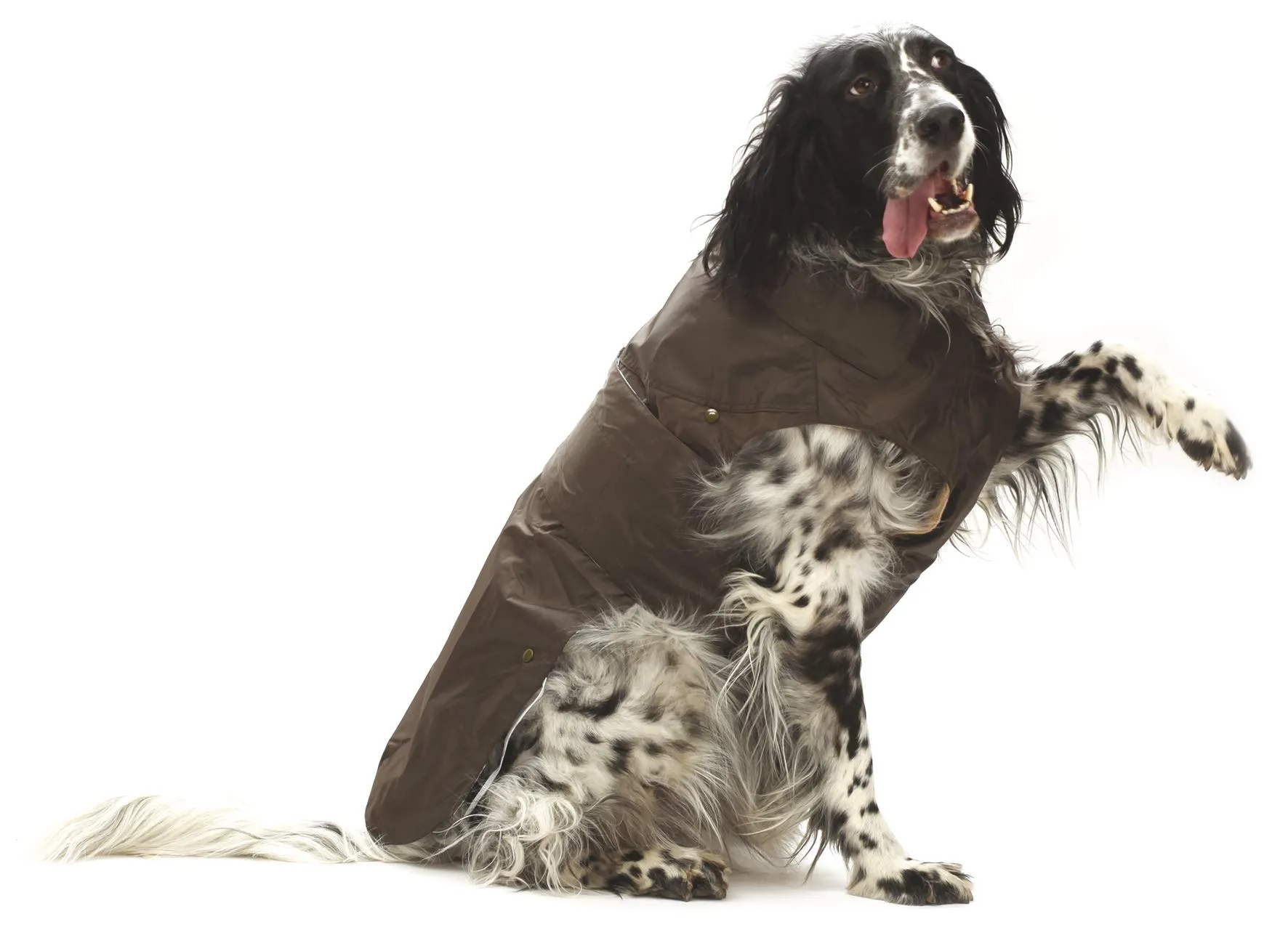 CROCI, MONTREAL, Cappotto per cani, Mantello invernale, Giacca impermeabile, Taglia 15 cm, Marrone