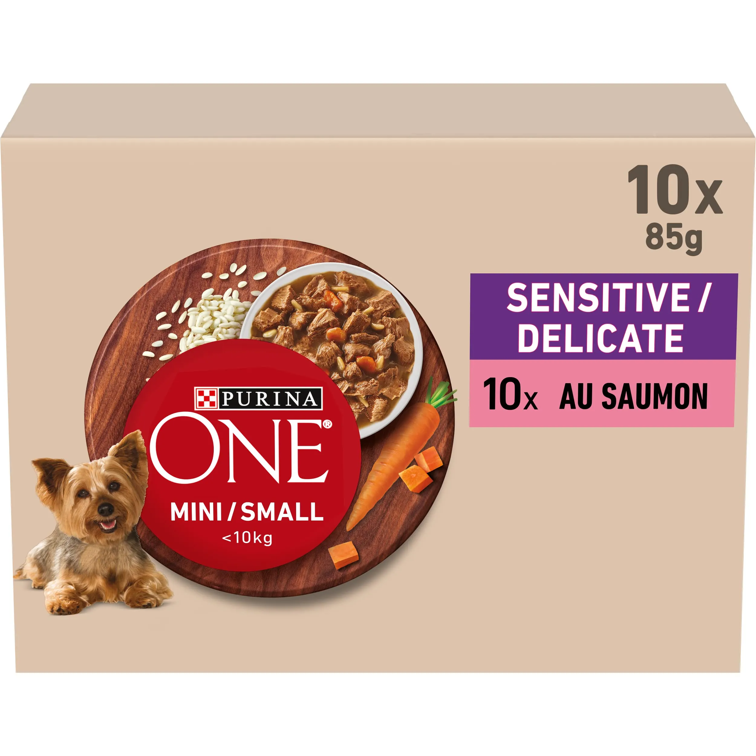 PURINA ONE Mini/S <10kg Sensitiva/Delicata, Sbucciati con Salmone, Riso e Carote in Salsa per Cani Adulti di Piccola Dimensione, Digestione Sensibile Bustine Pasto 10x85g