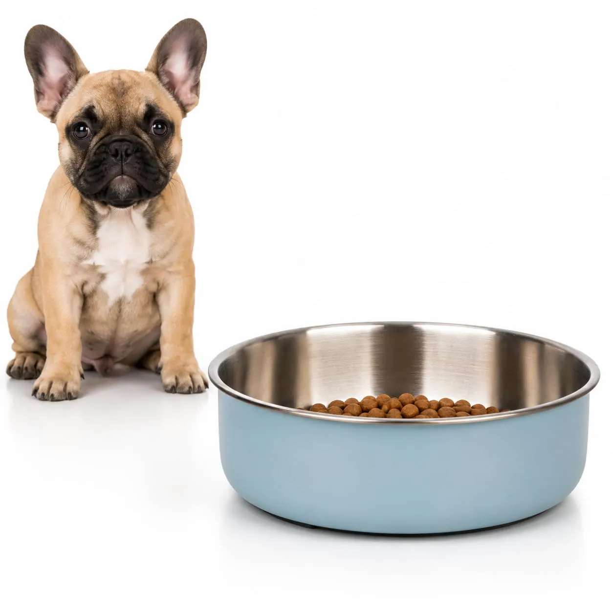 ciotola per cani - ciotola Yumi azzurro chiaro in inox - lavabile in lavastoviglie - 680ml