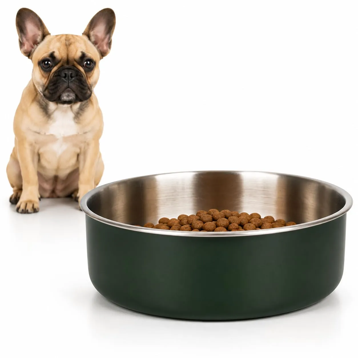 ciotola per cani - ciotola Yumi verde in acciaio inox - base antiscivolo - 680ml