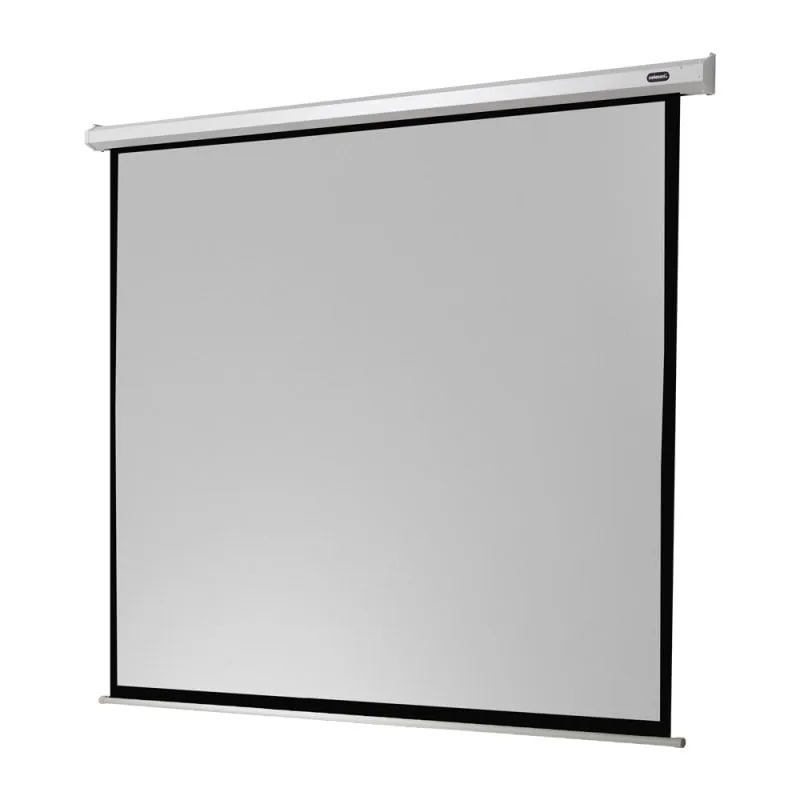 Schermo di Proiezione Celexon Electric Economy 240x240cm Motorizzato Silenzioso