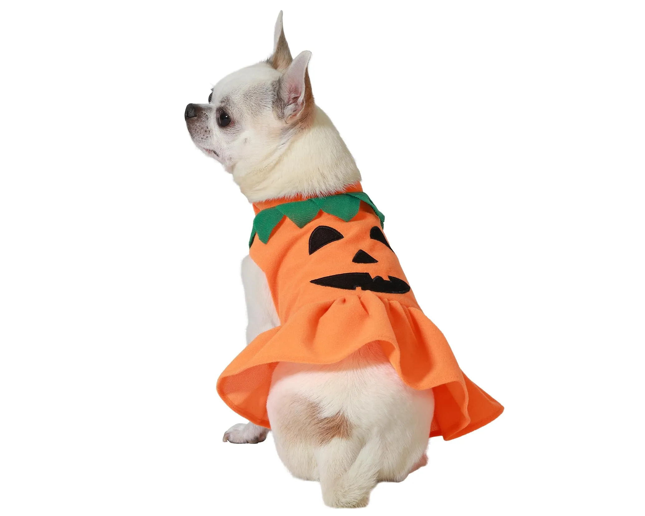 Atosa Costume di zucca arancione animali domestici look adorabile e festivo celebrazioni Halloween spirito stagione vibrante design dettagli incantevoli
