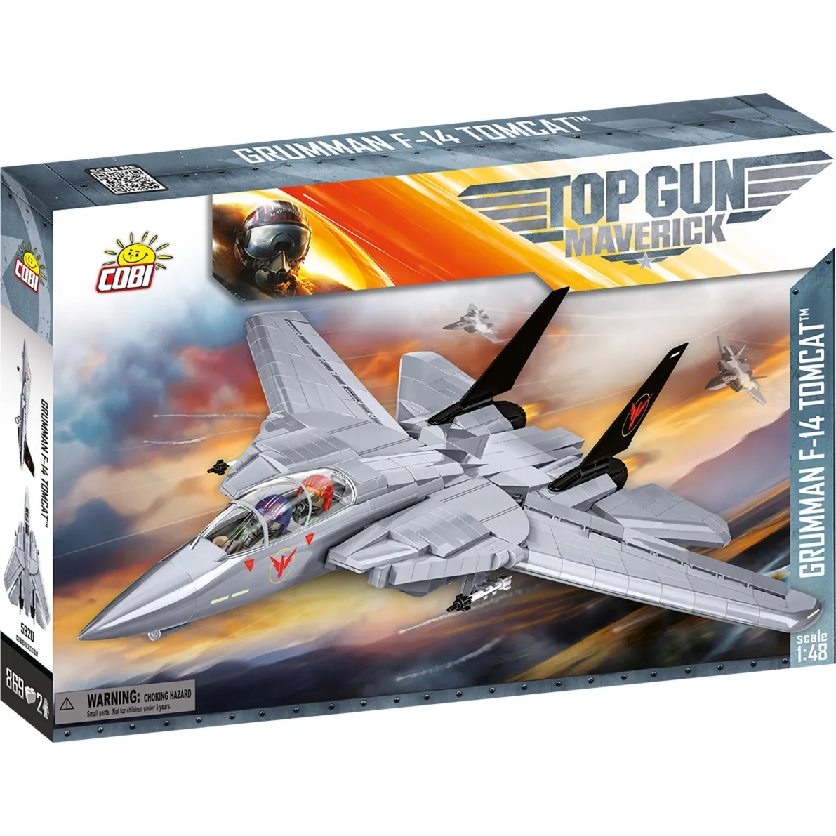 Grumman F-14 Tomcat, Giochi di costruzione