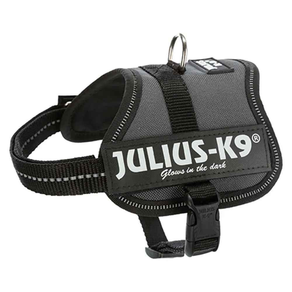 Julius-K9, Pettorina K9, Taglia: 2XS/Baby 2, Colore: Antracite