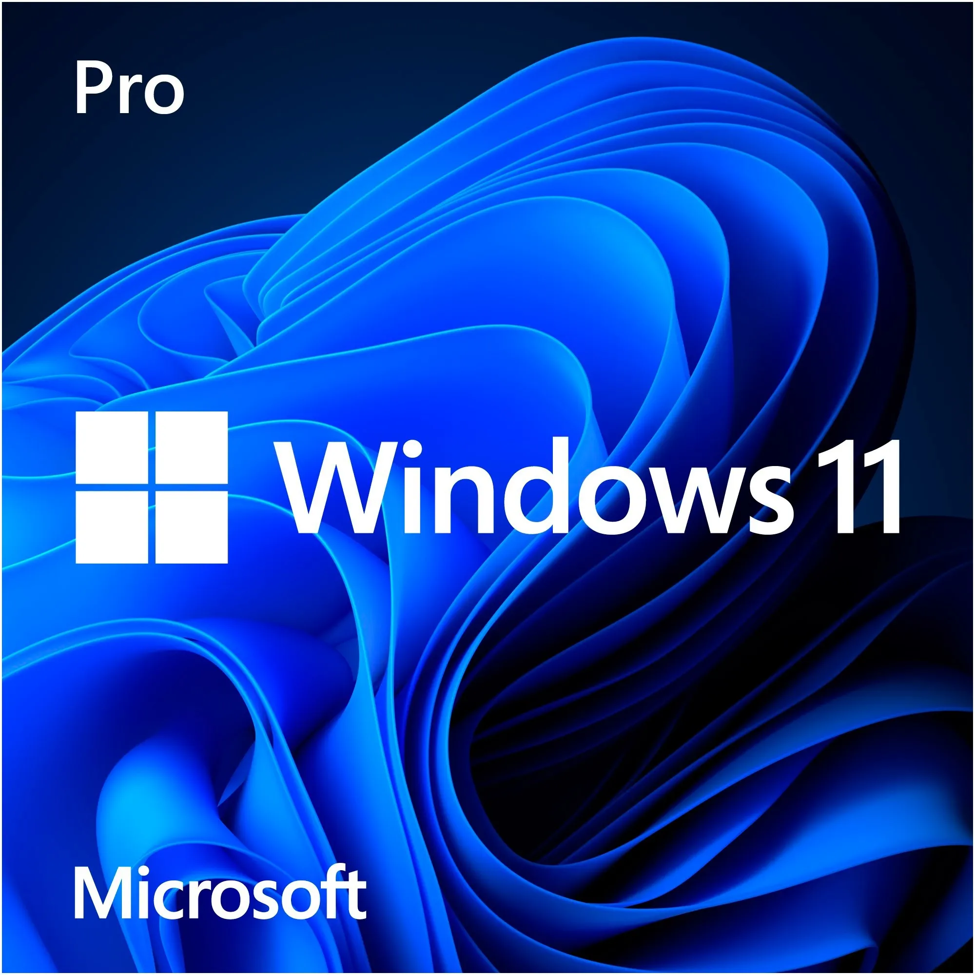 Windows 11 Pro 1 licenza/e, Software