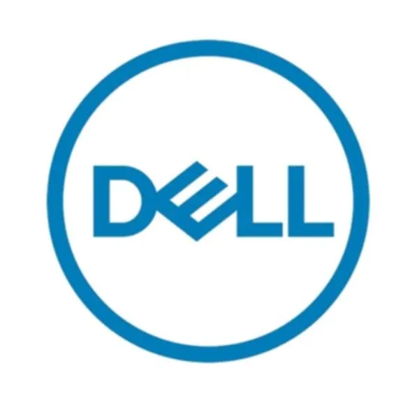 Dell 12TB 7.2K Rpm Nlsas Ise 12GBPS 512E 3.5IN Hot-Plug Hard Drive Ck 161-BCJX