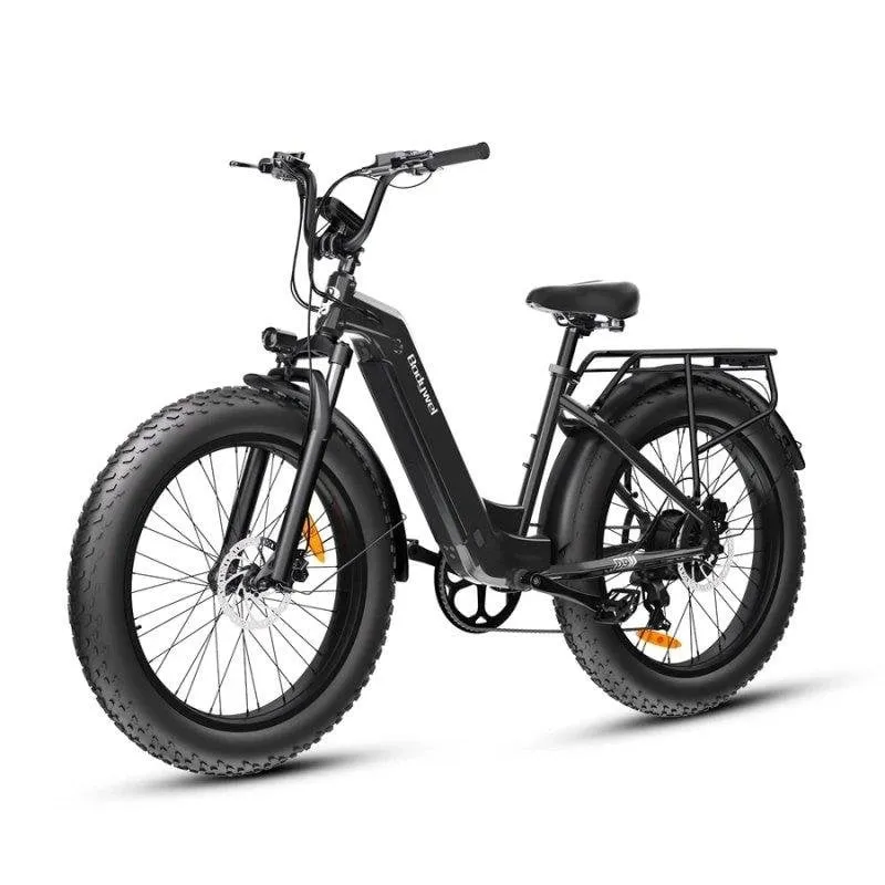Bicicletta elettrica Bodywel D9 750W 48V15Ah Pneumatici 26x4,0
