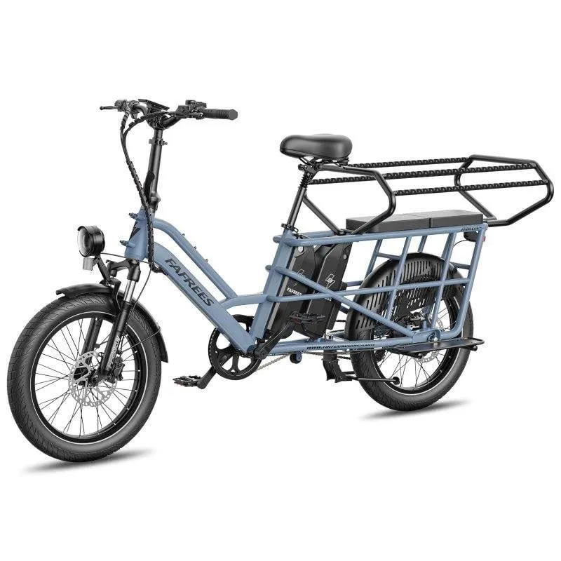 Bicicletta Elettrica Fafrees FF20 CUV 250W Batteria 48V