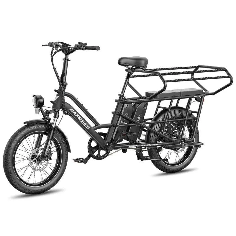 Bicicletta Elettrica FAFREES FF20 CUV 250W doppia batteria