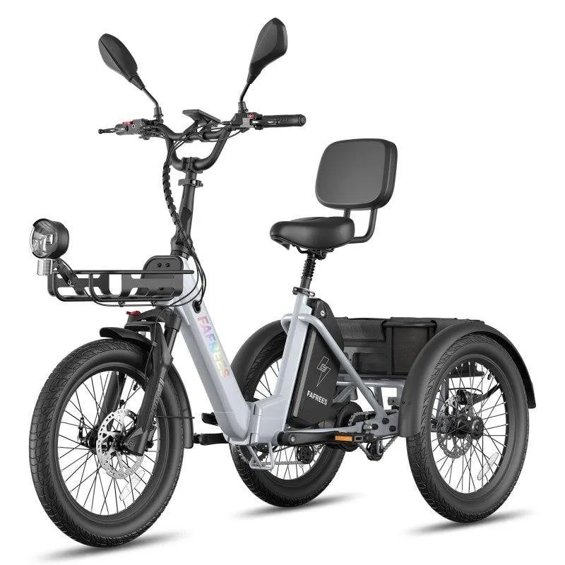 Triciclo Elettrico FAFREES F20 Mate II 250W 48V 25Ah