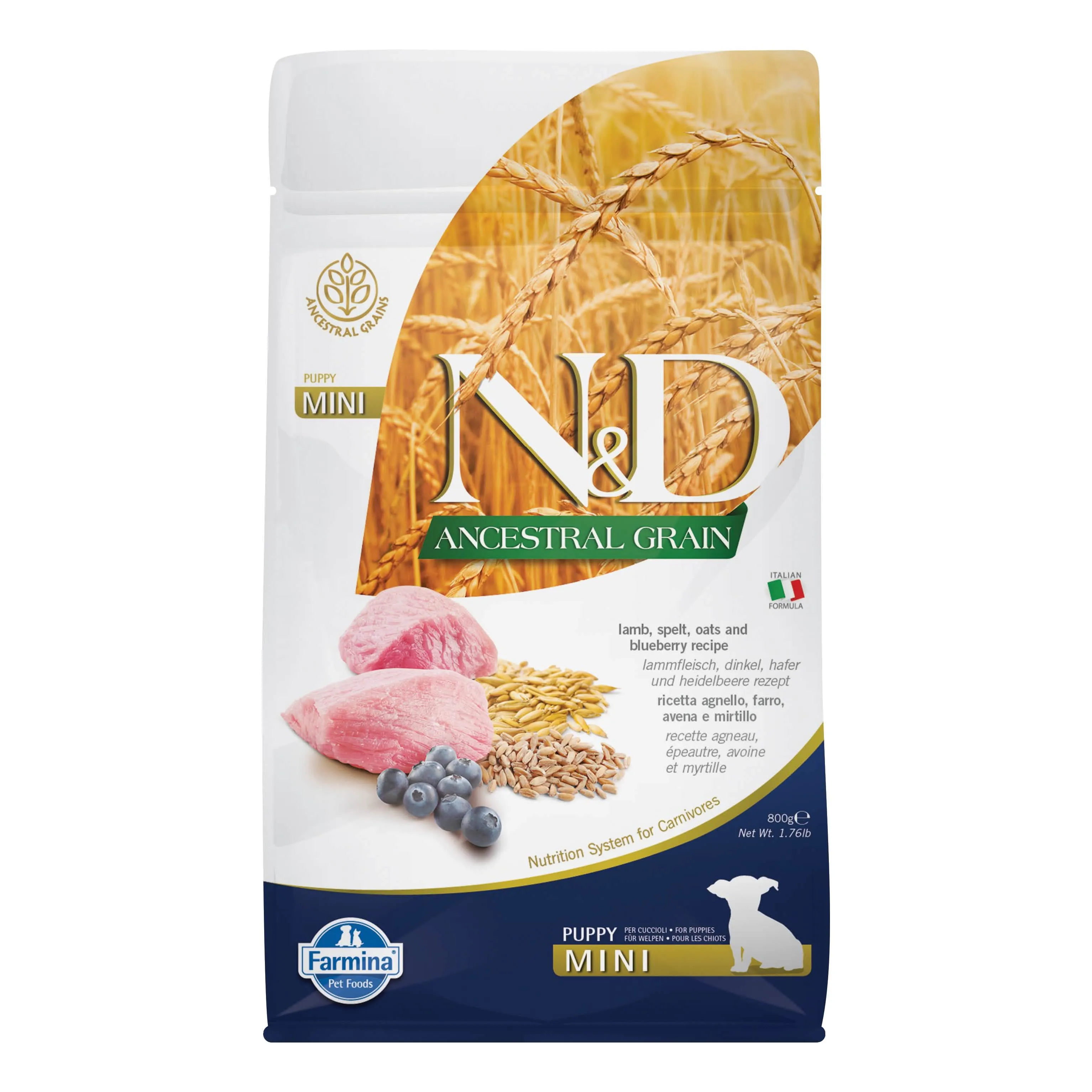 N&D Pumpkin Cane Agnello e Mirtillo Puppy Mini 800 g