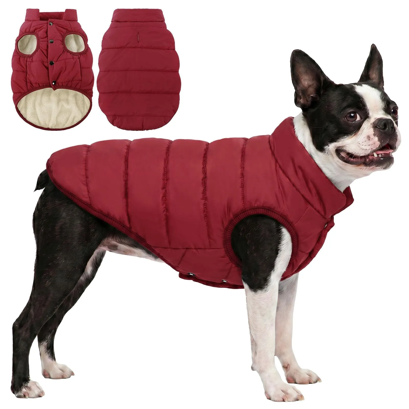 ASENKU Cappotto Cane Impermeabili Invernale, Cappottino Cane Calda Giacca per Cani Taglia Piccola Media Grande, Cappotto Gilet per Cani con Fodera in Lana Protegge Dal Freddo