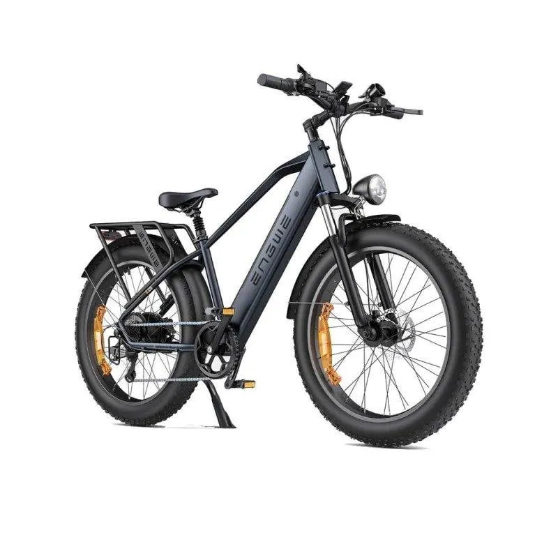 Bici Elettrica Engwe E26 250 W Batteria 48 V 16 Ah Pneumatici Fat 26