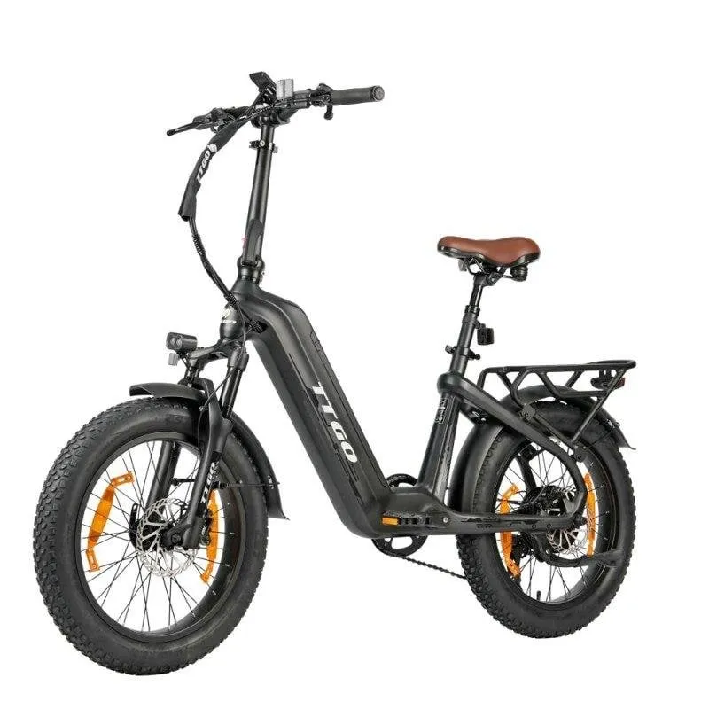 Bicicletta Elettrica TTGO F8 - 250 W, 48 V 18 Ah, 20 x 3,0 pollici