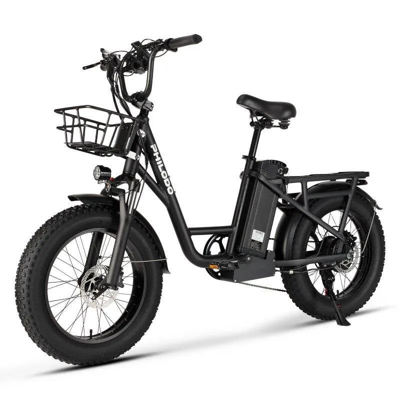 Bicicletta Elettrica Philodo T1 750W 48V 20Ah