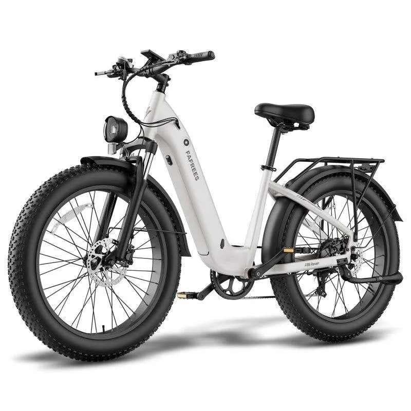 Bicicletta elettrica Fafrees F26 Rover 250W 48V 20Ah 26 pollici