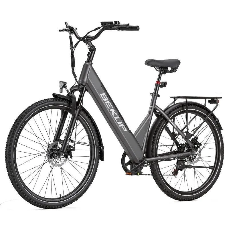 Bici Elettrica Bekup V28 250W Batteria 36V14,5Ah