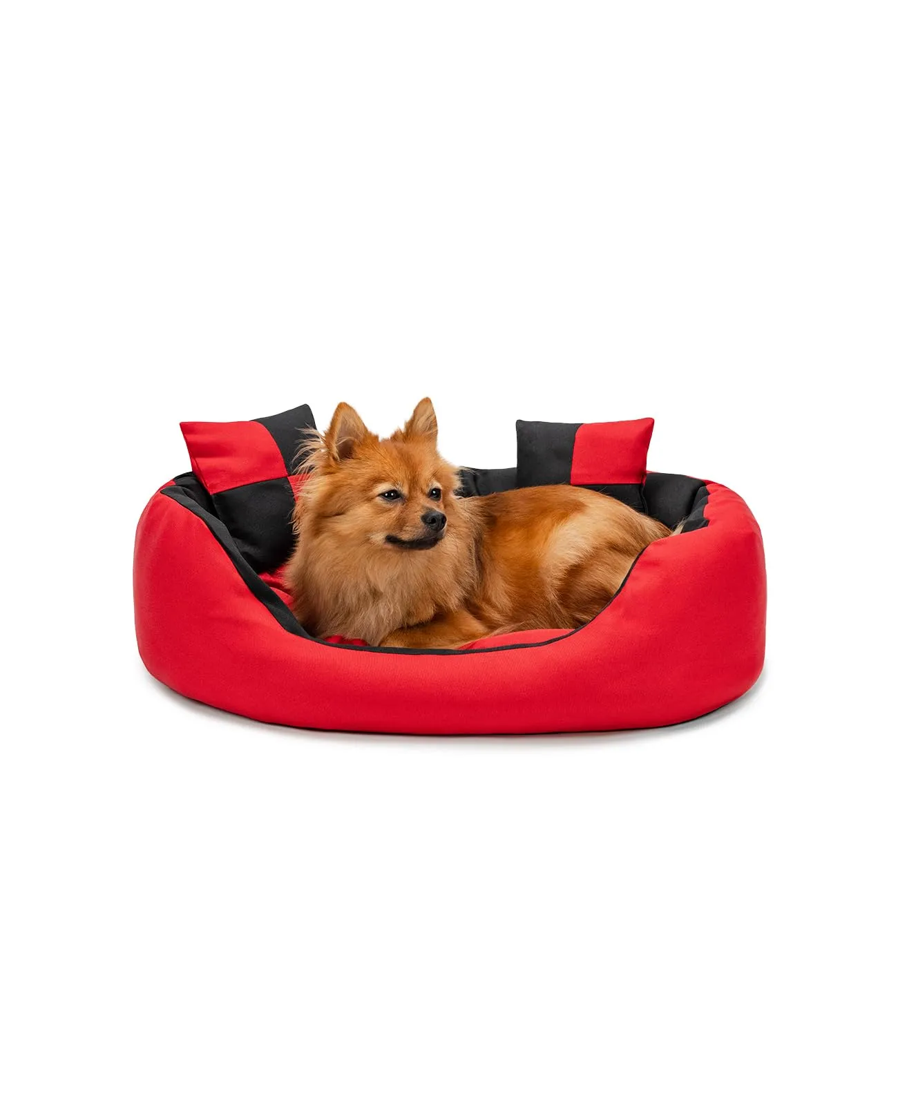 lionto Cuccia Cane 4-in-1 con Cuscino Reversibile, 65x50 cm, Nero