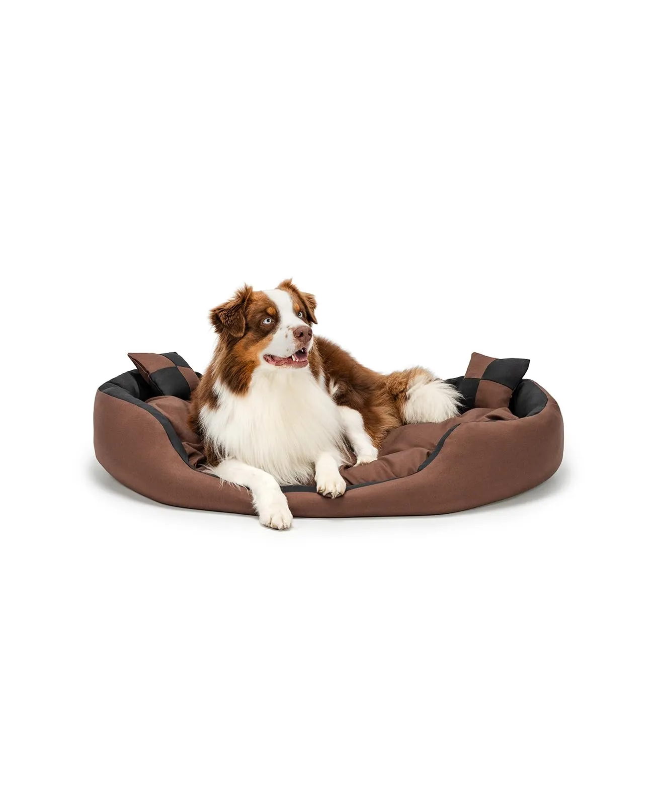 lionto Cuccia Cane 4-in-1 con Cuscino Reversibile, 110x80 cm, Nero