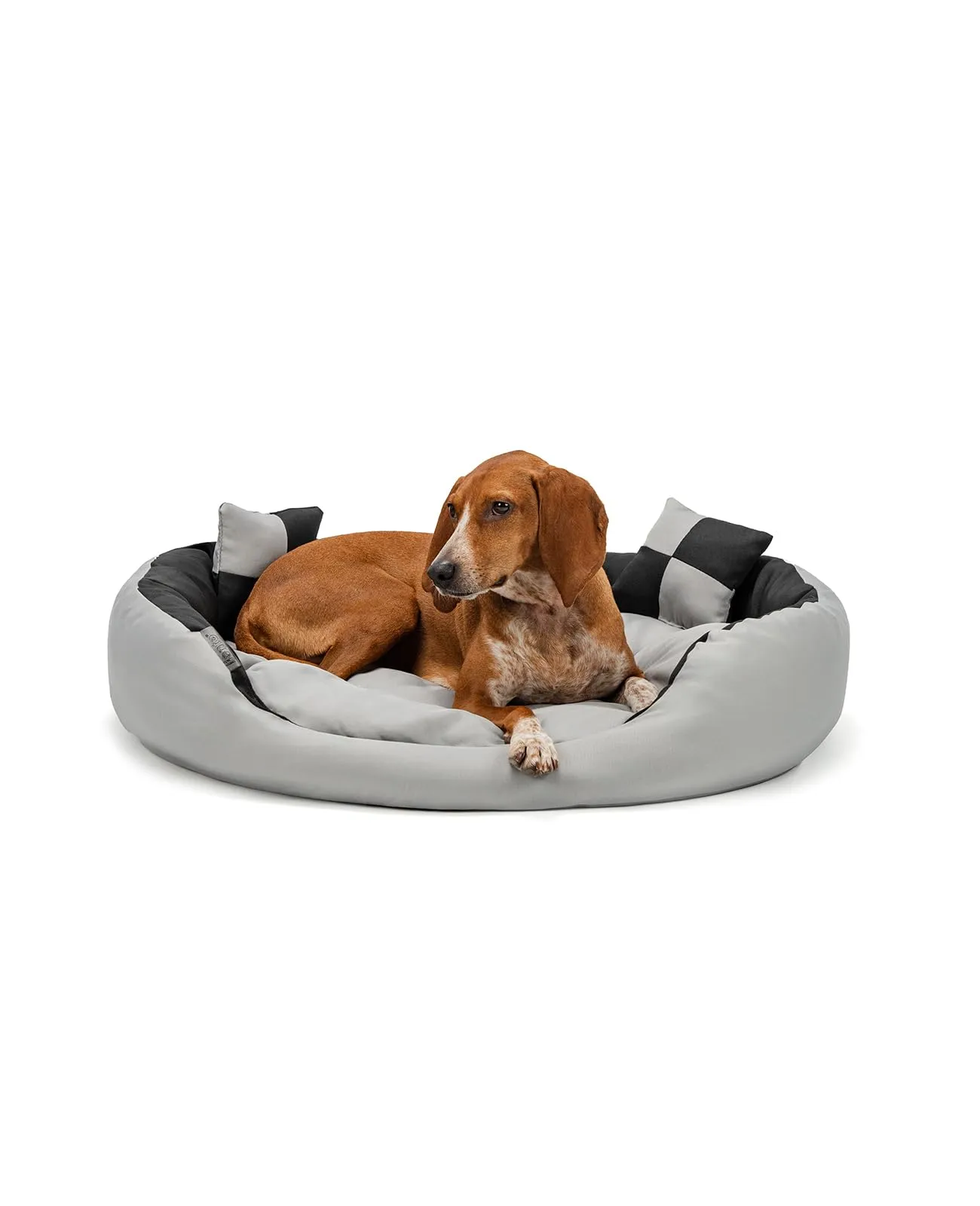 lionto Cuccia Cane 4-in-1 con Cuscino Reversibile, 85x70 cm, Nero
