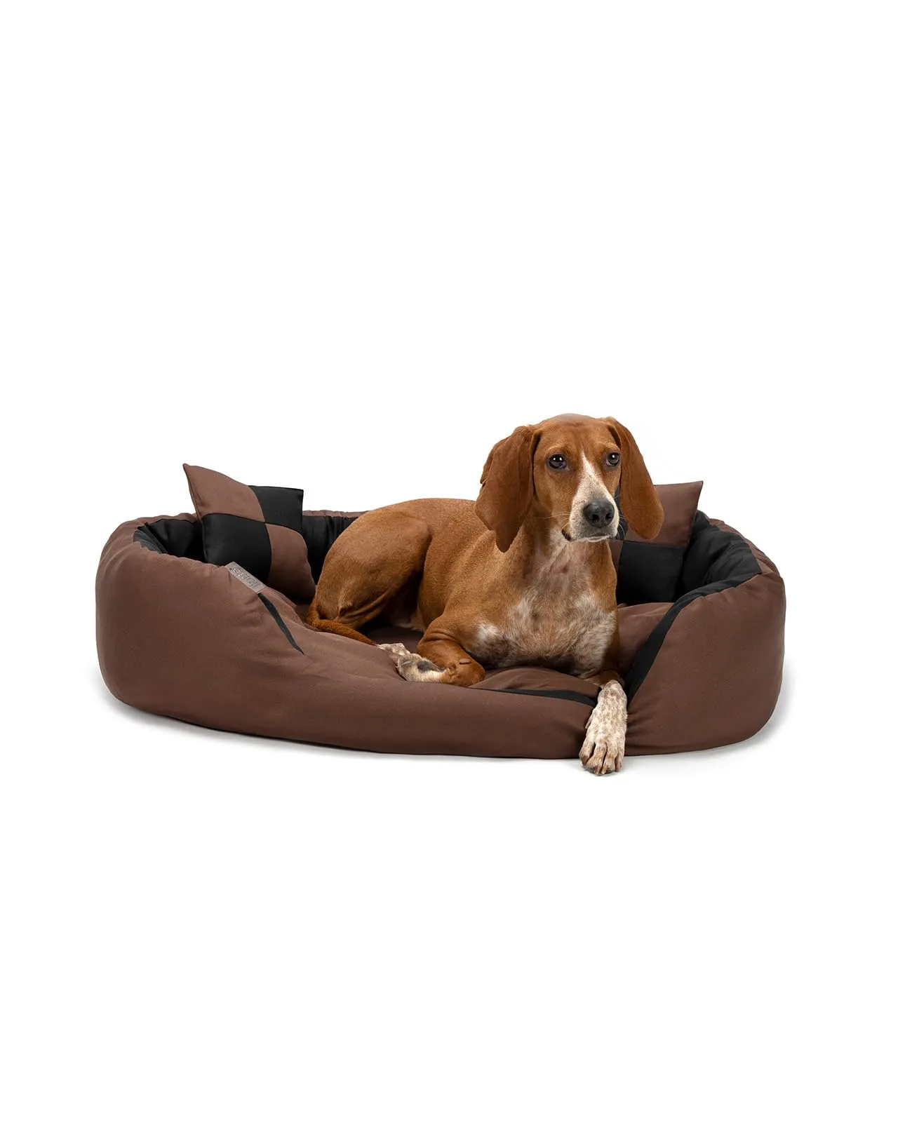 lionto Cuccia Cane 4-in-1 con Cuscino Reversibile, 85x70 cm, Nero