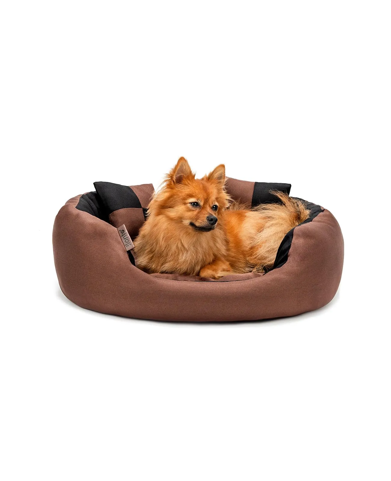 lionto Cuccia Cane 4-in-1 con Cuscino Reversibile, 65x50 cm, Nero