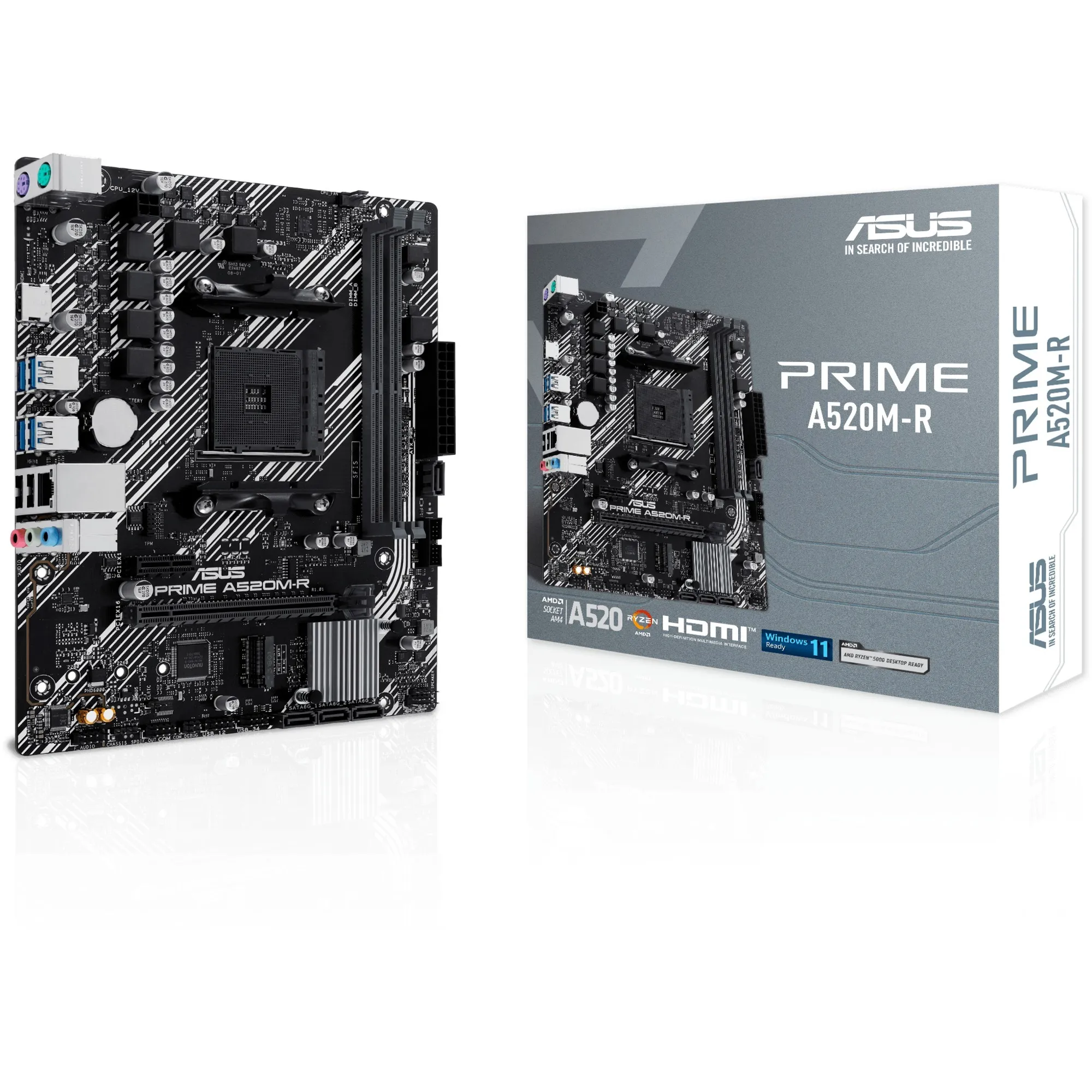 PRIME A520M-R AMD A520 Socket AM4 micro ATX, Scheda madre