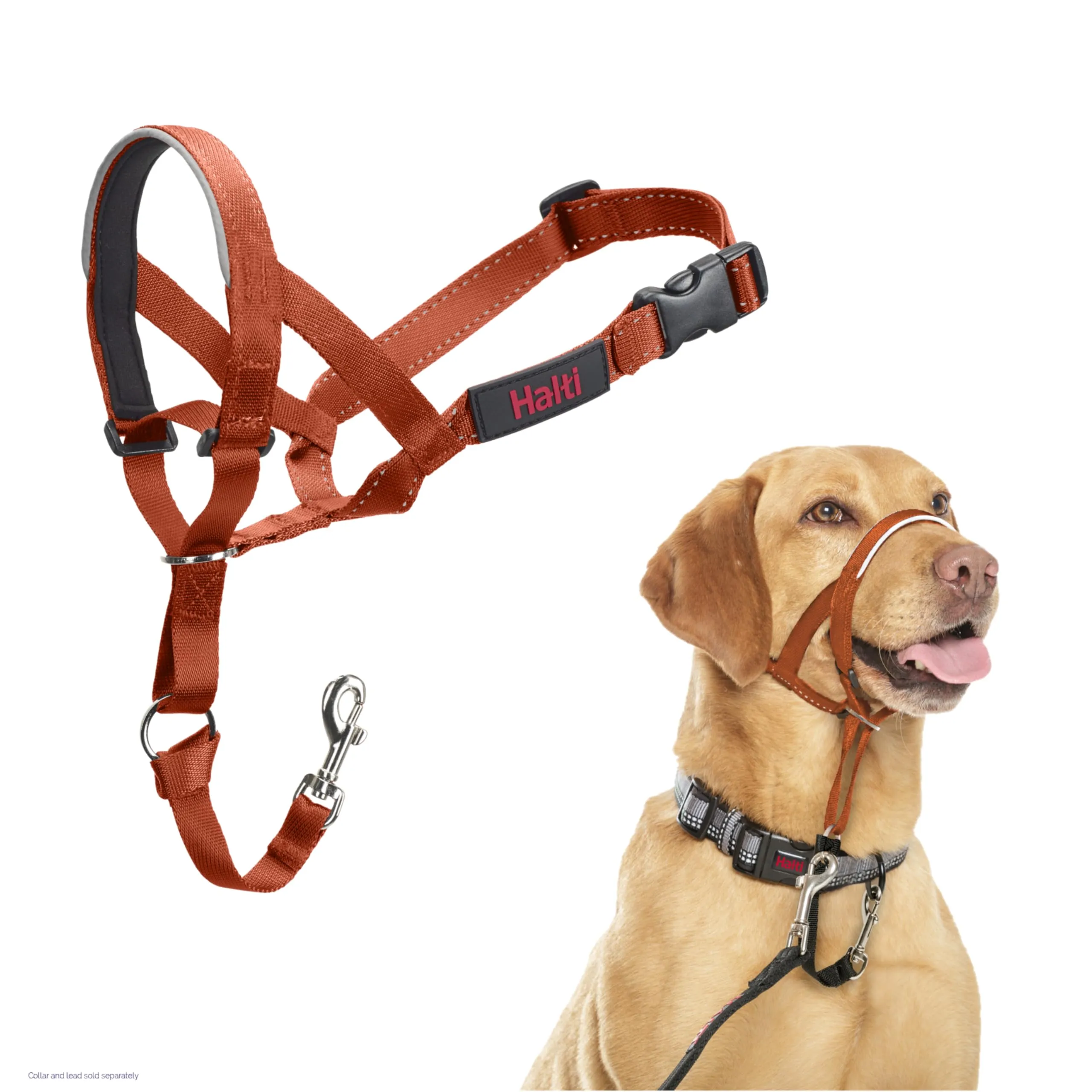 HALTI - Cavezza per impedire al cane di tirare al guinzaglio, regolabile, riflettente e leggera, con nasello imbottito, collare anti-tiro, per addestramento cani medi (Taglia 3, arancione bruciato)