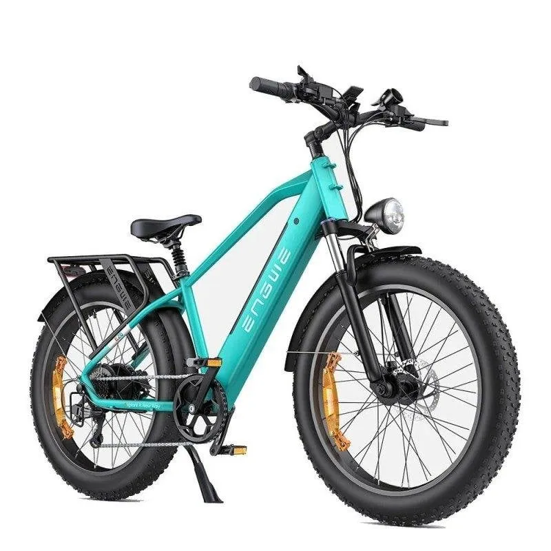 Bicicletta elettrica ENGWE E26 250 W 48 V 16 Ah doppia sospensione