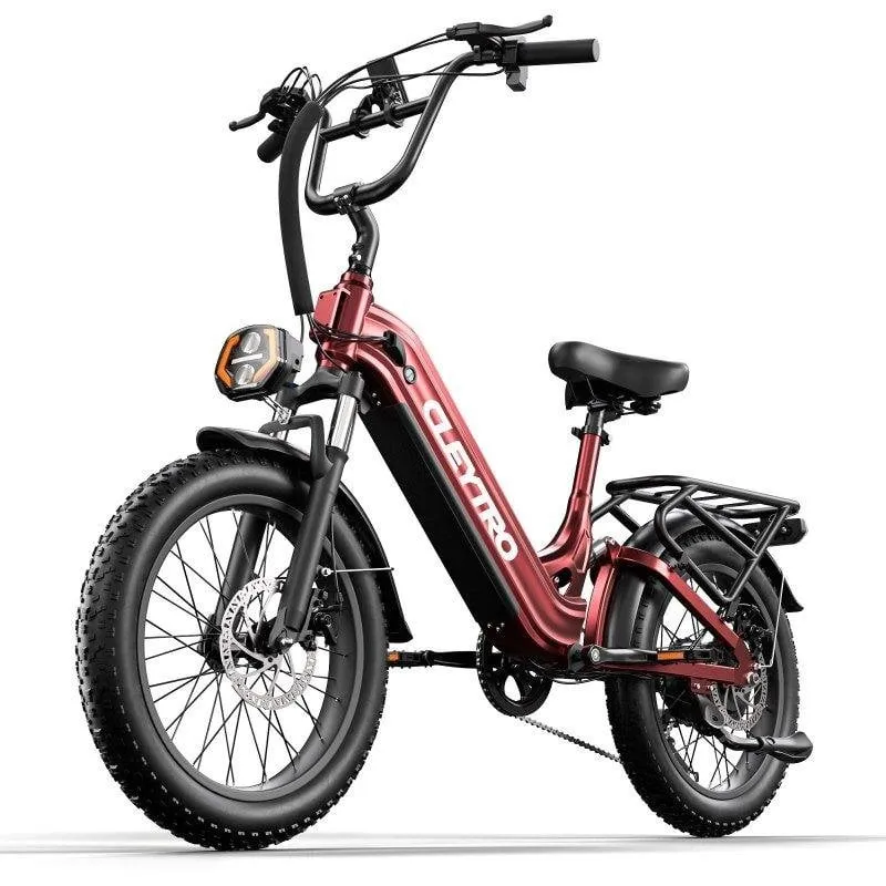 Bicicletta Elettrica Cleytro XC20 20 pollici, 48V 15,6Ah