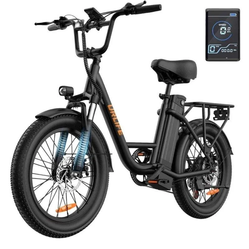 Bicicletta elettrica URLIFE E20 250W 48V 13Ah display LCD pneumatici 20 pollici