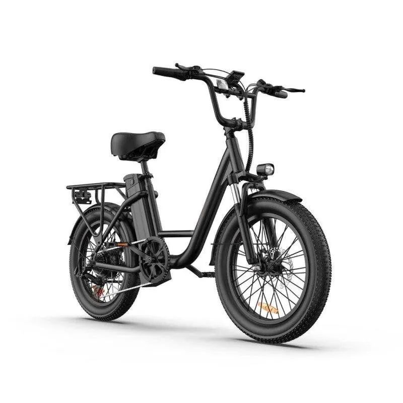 Bicicletta Elettrica URLIFE E20 Nera 1000W Batteria 48V 13Ah Pneumatici Larghi 20x3.0