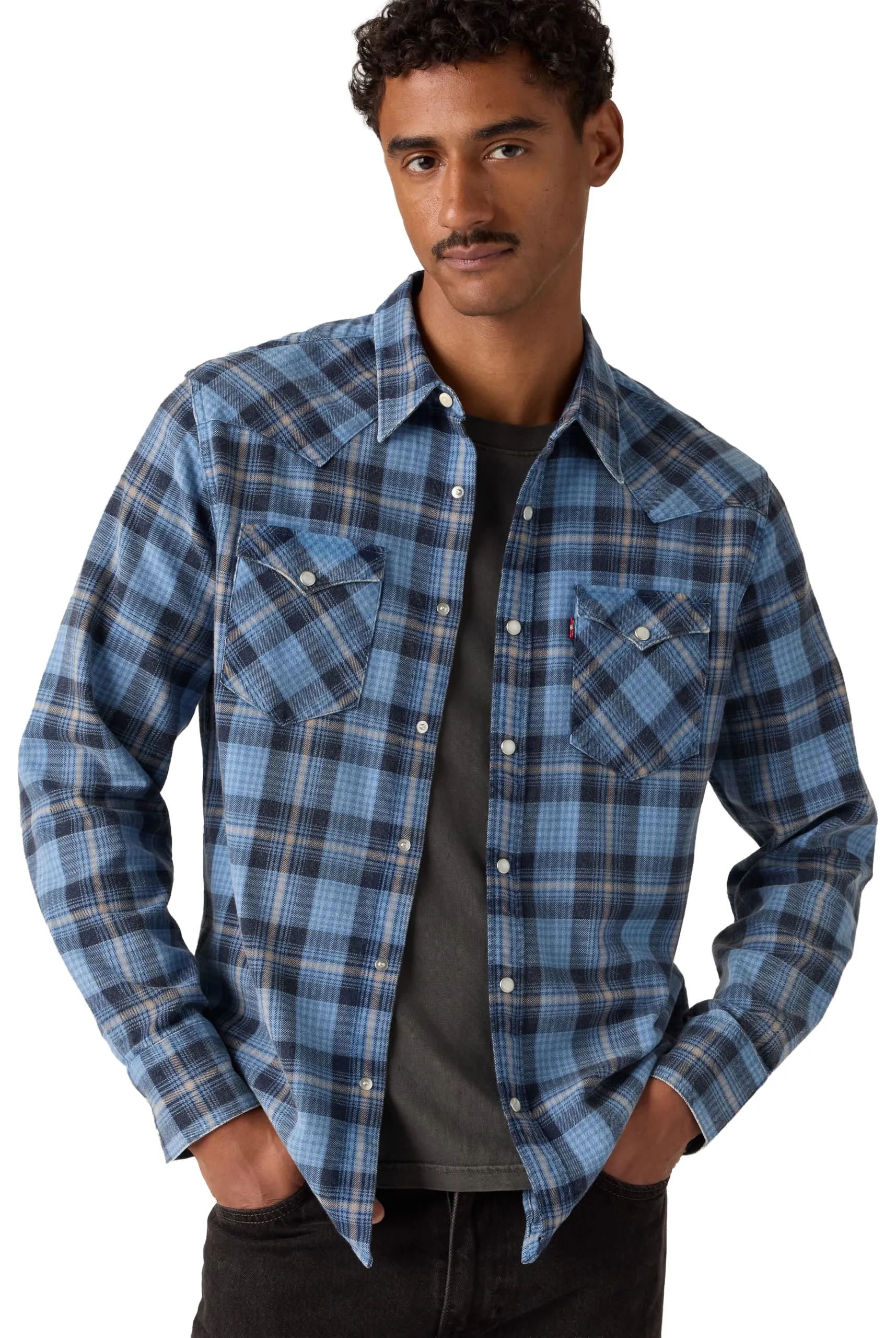 Barstow Western Standard Niklas Plaid Qu