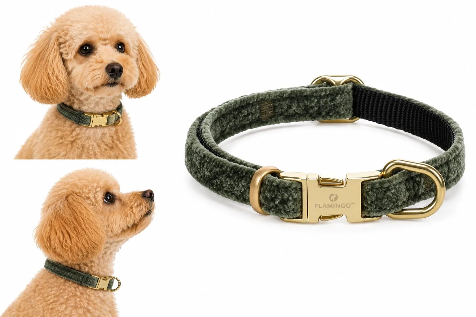 collare cane - saba verde - nylon velluto - regolabile - chiusura dorata - xs 20-35cm