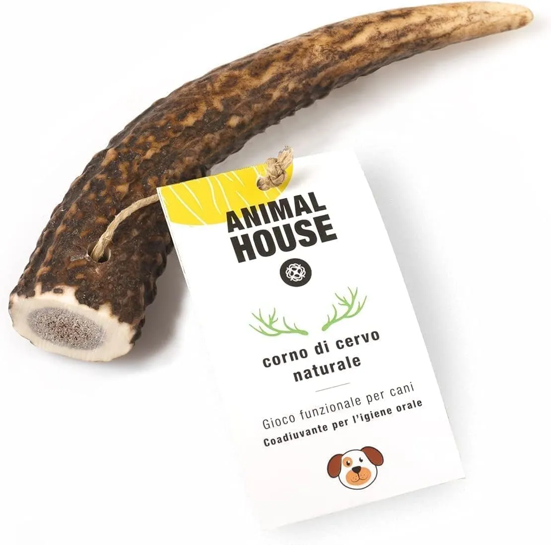 Animal House Corna di Cervo per Cani Intere, S