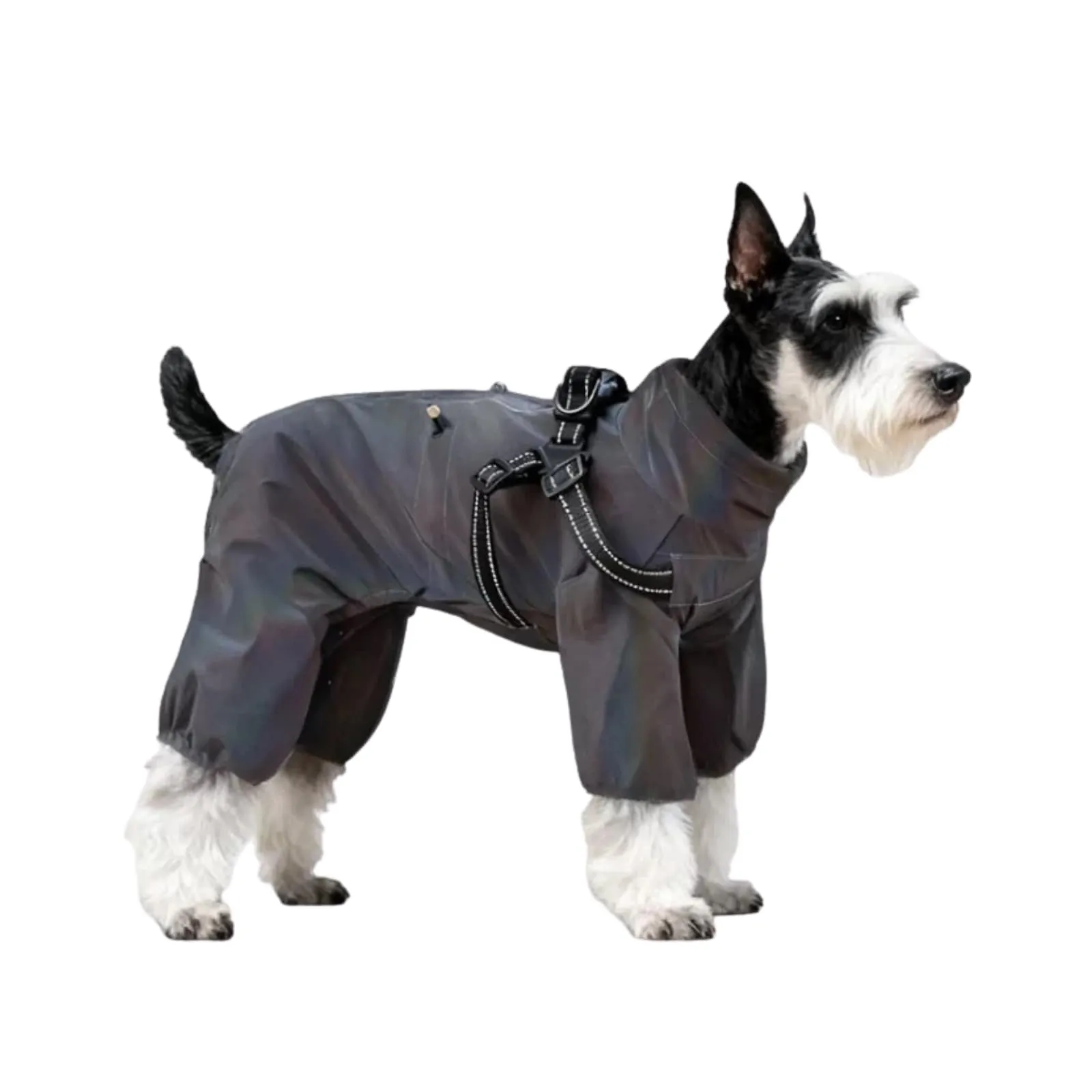 BT Bear - Giubbotto impermeabile per cani con pettorina, regolabile, con 4 zampe, con pettorina, riflettente, tuta antipioggia impermeabile per cani di taglia piccola, grigio laser M