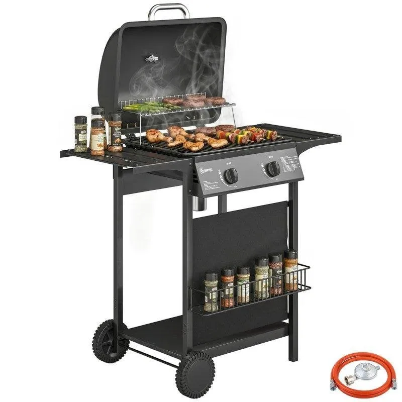Barbecue a gas Welltin 2 bruciatori 5 kW termometro ruote