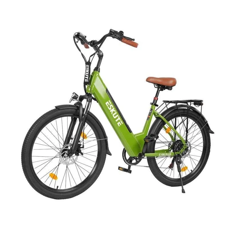 Bicicletta elettrica ESKUTE C100 Plus 250 W 36 V 13 Ah verde con borsa